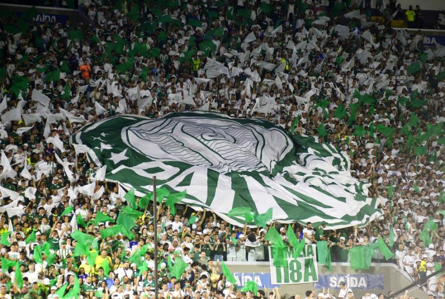 palmeiras-julgado-por-atos-homofobicos-e-discriminatorios3A-stjd-decide-punicoes