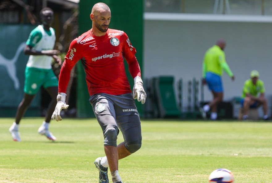 palmeiras-libera-weverton-para-fechar-acordo-com-o-gremio palmeiras-libera-weverton-para-fechar-acordo-com-o-gremio