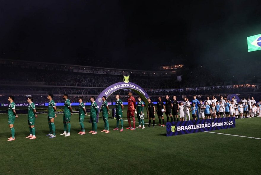 palmeiras-precisa-de-campanha-impecavel-para-buscar-titulo-veja-os-proximos-jogos palmeiras-precisa-de-campanha-impecavel-para-buscar-titulo-veja-os-proximos-jogos