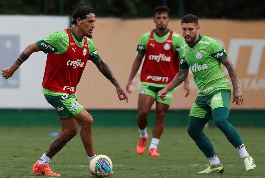 palmeiras-se-prepara-para-encarar-o-fluminense-em-busca-do-tricampeonato-brasileiro-saiba-mais-sobre-a-preparacao-e-expectativas-para-a-partida