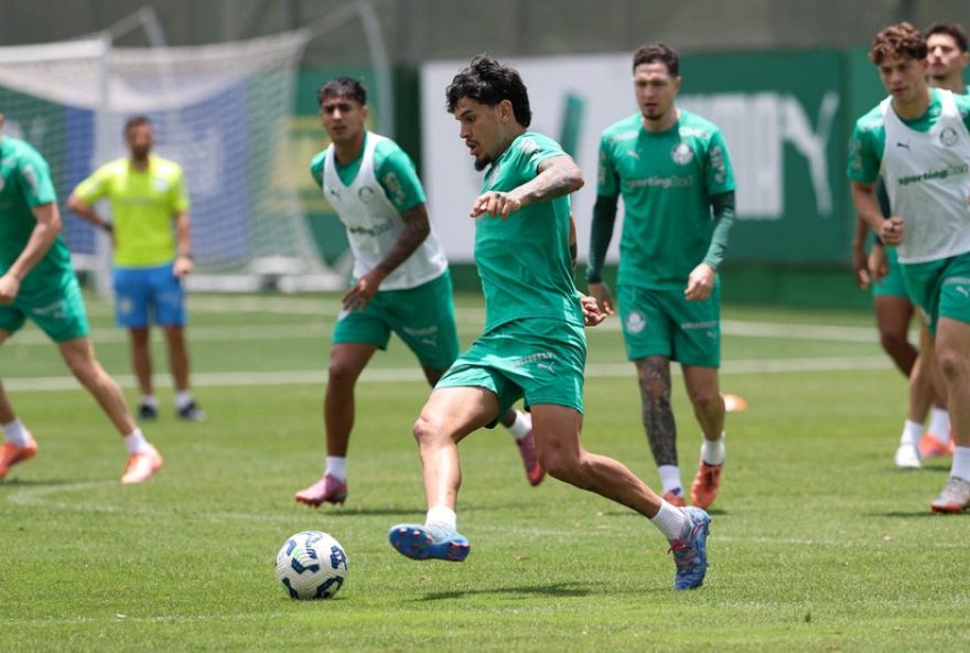 palmeiras-se-prepara-para-enfrentar-o-fluminense-no-allianz-parque3A-saiba-tudo-sobre-o-confronto-decisivo