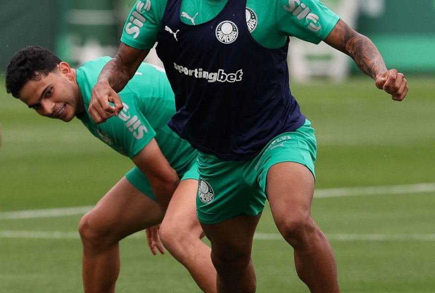 palmeiras-treina-novidades-para-duelo-contra-o-juventude3A-jovens-talentos-e-desfalques-em-foco