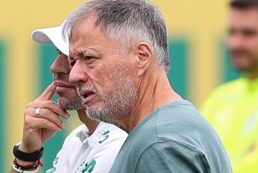 palmeiras3A-quase-metade-dos-r24-400-milhoes-em-vendas palmeiras3A-quase-metade-dos-r24-400-milhoes-em-vendas