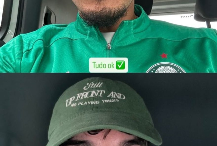 pancada-em-jogo-do-palmeiras-deixa-participacao-de-gomez-em-duvida-para-duelo-contra-o-bahia