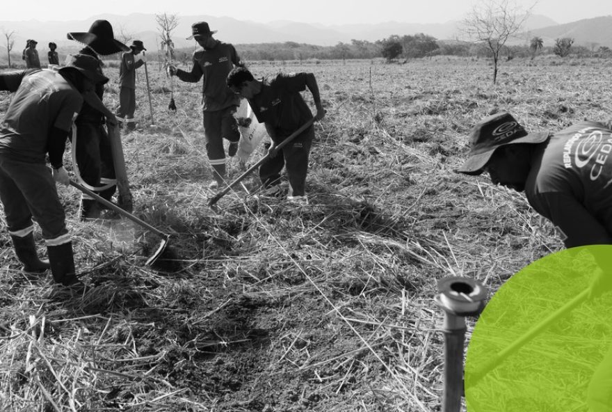 parceria-entre-cedae-e-exercito3A-reflorestamento-para-preservar-o-meio-ambiente-e-garantir-recursos-hidricos
