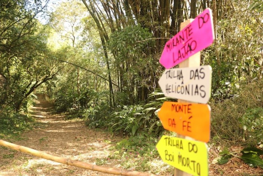 parque-dos-morros-em-santos3A-preservacao-e-regeneracao-ambiental
