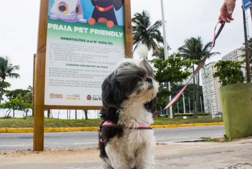 parque-pet3A-prefeitura-de-sao-vicente-cria-espaco-exclusivo-para-animais-de-estimacao parque-pet3A-prefeitura-de-sao-vicente-cria-espaco-exclusivo-para-animais-de-estimacao
