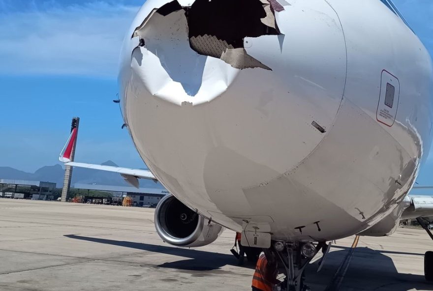 passageira-de-aviao-da-latam-relata-colisao-com-passaro-e-instabilidade3A-balancava-muito-incidente-conhecido-como-bird-strike-ninguem-ficou-ferido