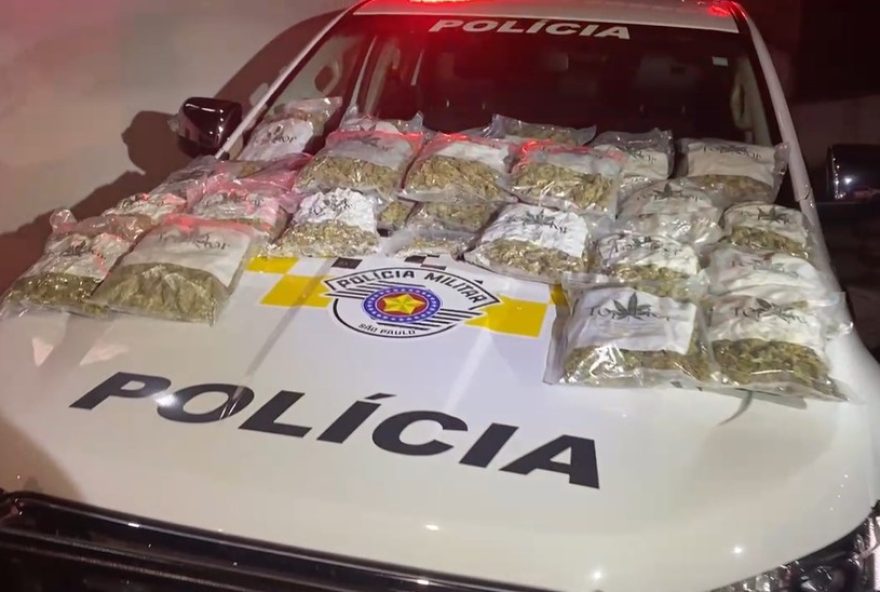 passageira-e-presa-com-13kg-de-maconha-em-onibus-de-turismo-em-sp3A-trafico-de-drogas-em-rodoviarias