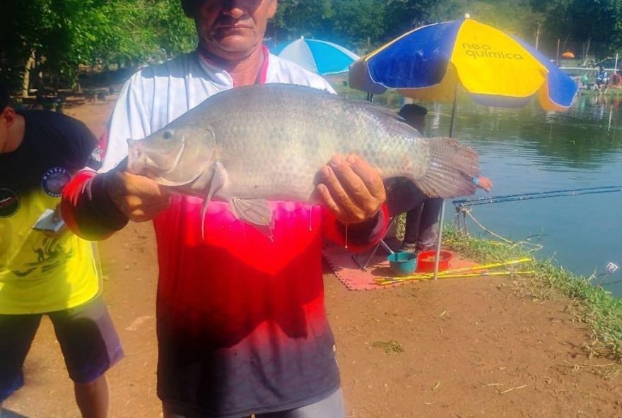 pedreiro-e-espancado-e-atropelado-em-confusao-em-bom-jesus-dos-perdoes3A-22ele-so-chora222C-diz-esposa