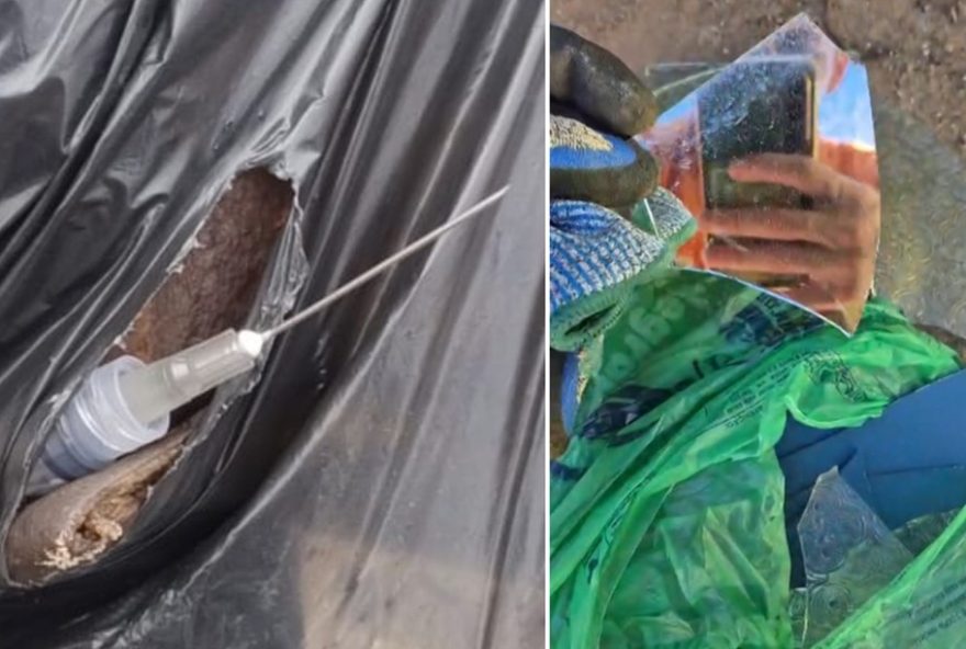 perigo-de-agulhas3A-coletores-de-lixo-em-risco-em-sao-carlos2C-sp perigo-de-agulhas3A-coletores-de-lixo-em-risco-em-sao-carlos2C-sp