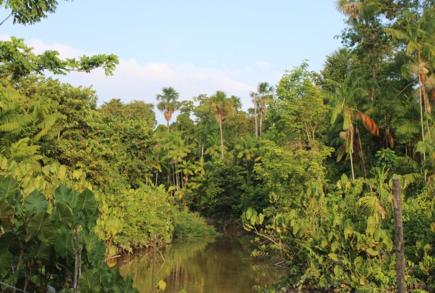 perspectivas-internacionais-do-brasil-em-20253A-brics2C-cop30-e-adiamento-do-acordo-mercosul-uniao-europeia perspectivas-internacionais-do-brasil-em-20253A-brics2C-cop30-e-adiamento-do-acordo-mercosul-uniao-europeia