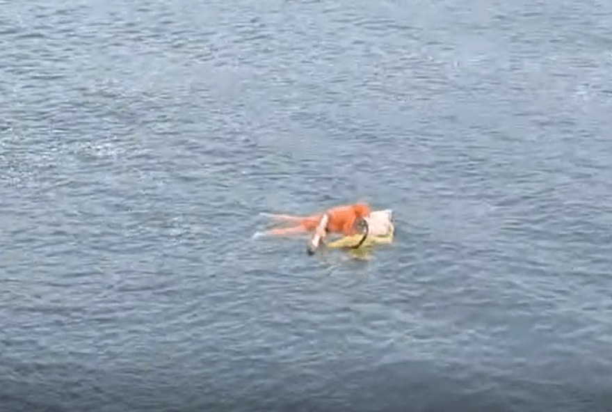 pescador-e-resgatado-agarrado-a-porta-de-geladeira-apos-naufragio3A-historia-de-superacao-em-sao-francisco-do-sul2C-sc pescador-e-resgatado-agarrado-a-porta-de-geladeira-apos-naufragio3A-historia-de-superacao-em-sao-francisco-do-sul2C-sc