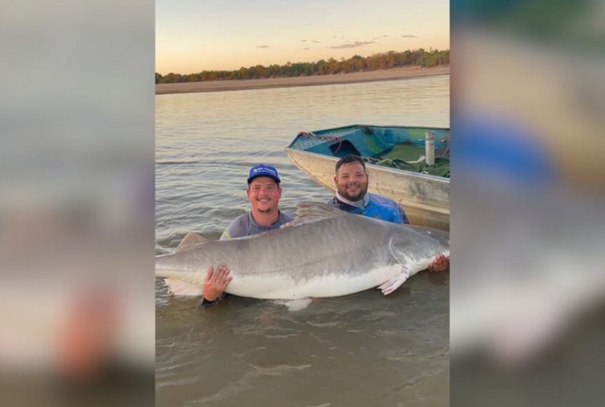 pescador-fisga-piraiba-de-2-metros-apos-50-minutos-de-disputa-no-rio-araguaia3A-veja-o-video-e-saiba-mais