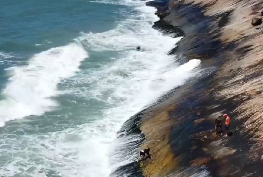 pescador-quase-se-afoga-ao-escorregar-em-rochas-costeiras3A-assista-video-em-caraguatatuba2C-litoral-norte-sp