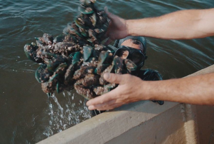 pescadores-da-baia-de-guanabara-lidam-com-excesso-de-lixo-na-agua3A-impactos-na-pesca-artesanal-e-no-meio-ambiente