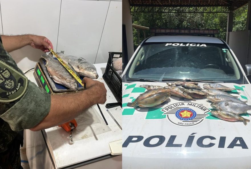 pescadores-sao-multados-em-r24-42C5-mil-por-pesca-proibida-na-piracema-no-oeste-paulista pescadores-sao-multados-em-r24-42C5-mil-por-pesca-proibida-na-piracema-no-oeste-paulista