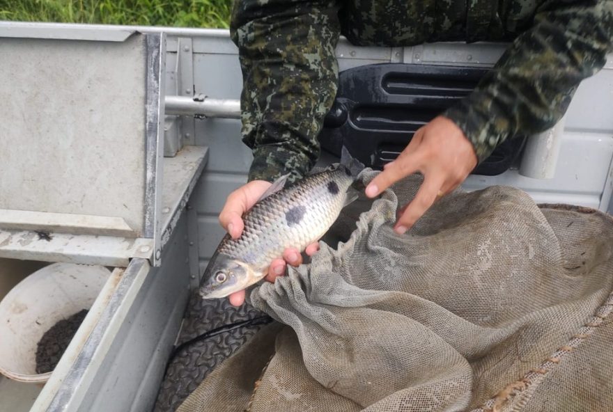 pescadores-sao-multados-em-r24-6-mil-por-pratica-ilegal-durante-piracema-em-lucelia-sp