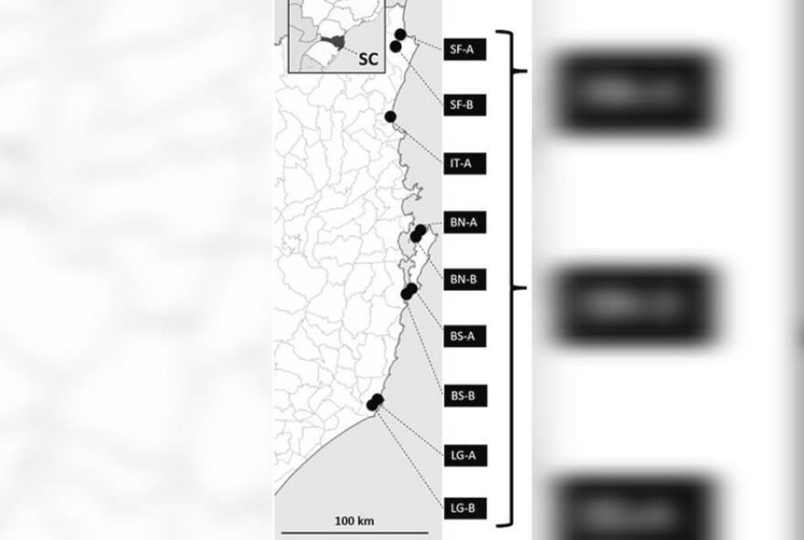 pesquisa-aponta-contaminacao-por-substancias-nocivas-na-agua-do-litoral-de-sc