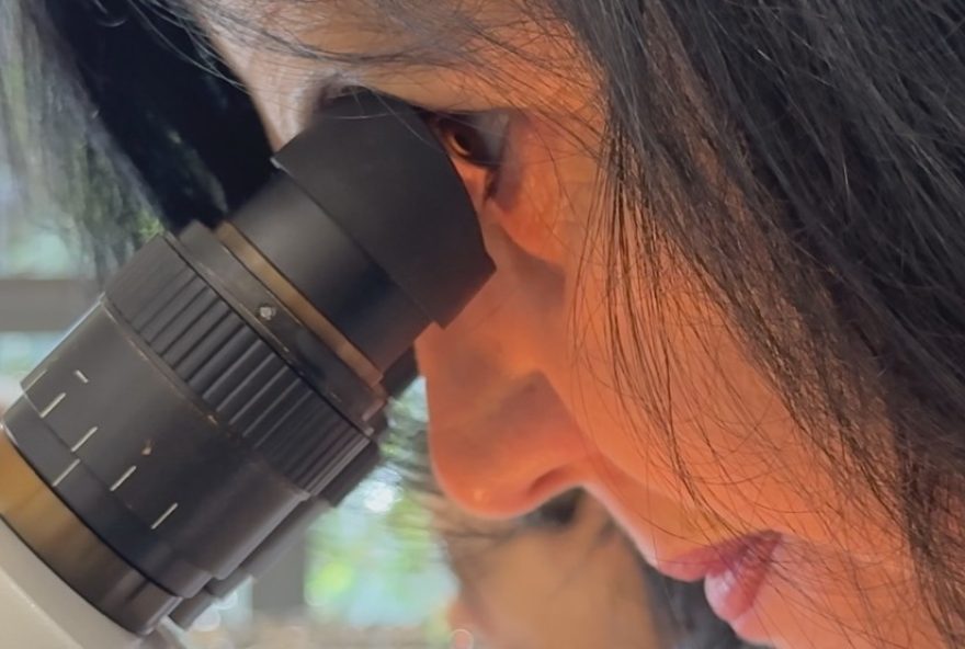 pesquisadora-brasileira-no-pr-vence-nobel-da-agricultura-com-insumos-biologicos3A-jamais-poderia-imaginar