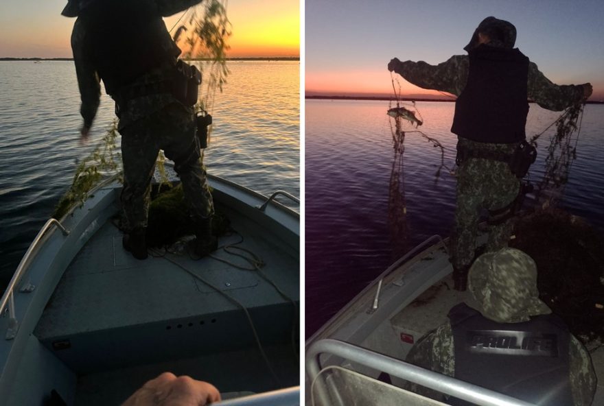 piracema-no-oeste-paulista3A-multas-por-pesca-irregular-aumentam-8625-a-partir-de-1o-de-novembro-7C-confira-as-mudancas
