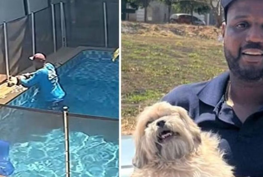 piscineiro-salva-cachorro-cego-de-afogamento-em-goiania
