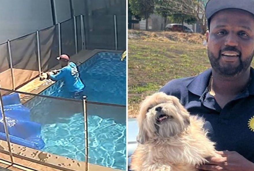 piscineiro-salva-cao-cego-afogado-em-goiania3A-massagem-o-salvou3B-video