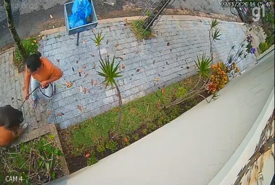 pitbull-escapa-de-obra-paralisada-e-ataca-cao-idoso3A-moradores-de-bh-pedem-medidas-de-seguranca pitbull-escapa-de-obra-paralisada-e-ataca-cao-idoso3A-moradores-de-bh-pedem-medidas-de-seguranca