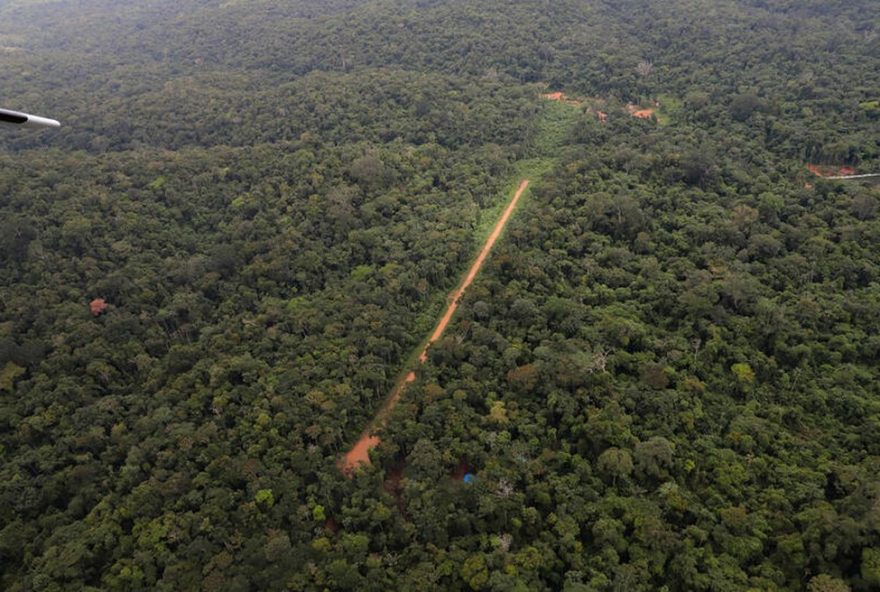 plano-de-acao-contra-pistas-clandestinas-na-amazonia3A-mpf-alerta-para-desprotecao-no-amazonas plano-de-acao-contra-pistas-clandestinas-na-amazonia3A-mpf-alerta-para-desprotecao-no-amazonas