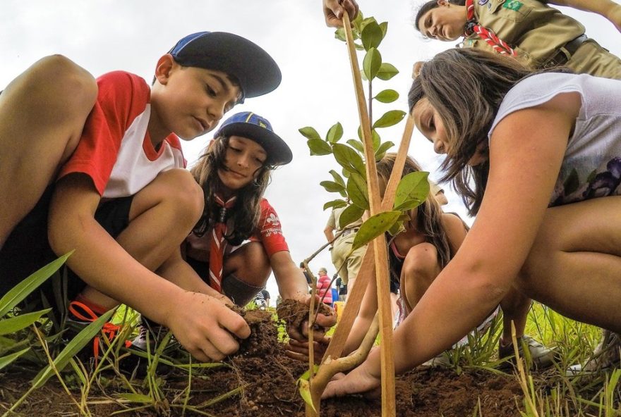 plante-arvores-frutiferas-em-bauru-com-o-projeto-fruto-urbano