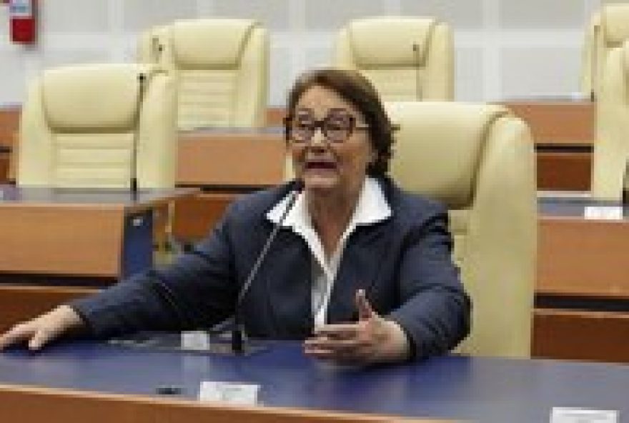 plataforma-conecta-mei-goiania3A-oportunidades-para-microempreendedores