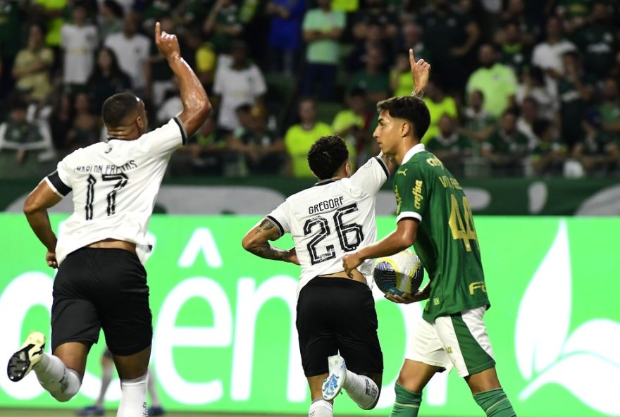 polemica-do-gol-do-palmeiras-x-botafogo3A-lance-controverso-divide-opinioes-no-brasileirao