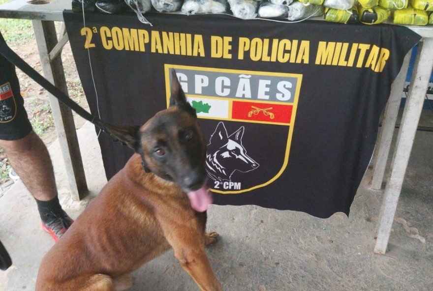policia-apreende-52-tabletes-de-cocaina-em-barco-no-am policia-apreende-52-tabletes-de-cocaina-em-barco-no-am