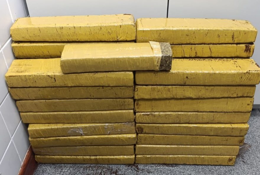 policia-apreende-tabletes-de-maconha-apos-motoboy-recusar-entrega-em-feira-de-santana3A-duas-mulheres-detidas policia-apreende-tabletes-de-maconha-apos-motoboy-recusar-entrega-em-feira-de-santana3A-duas-mulheres-detidas