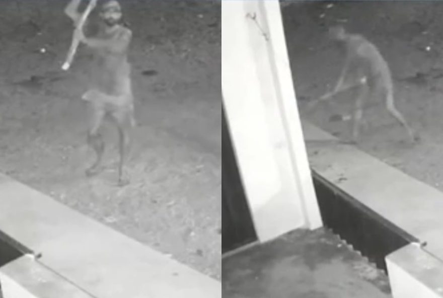 policia-busca-homem-que-brutalmente-agrediu-cachorro-em-jaguaretama2C-ceara