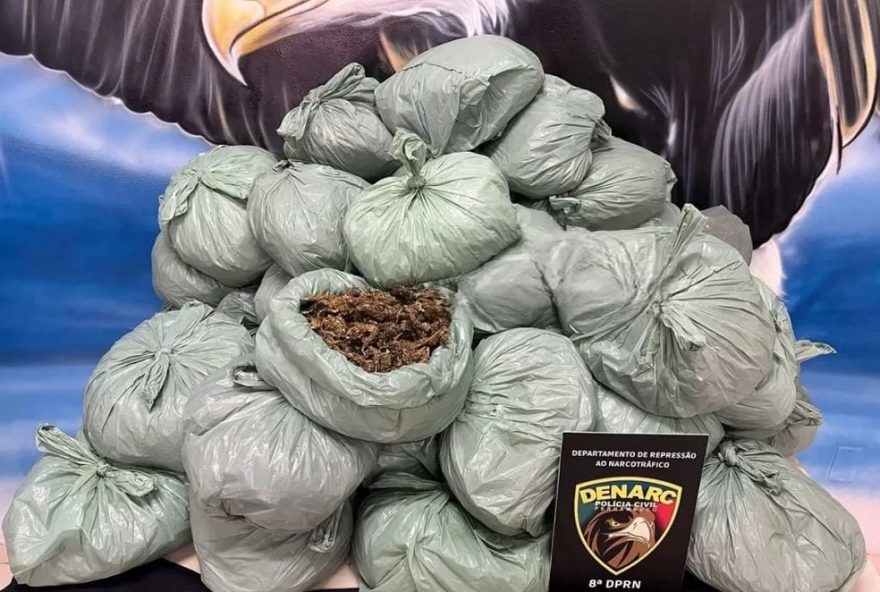 policia-civil-apreende-50-kg-de-maconha-e-prende-quadrilha-em-aguas-belas