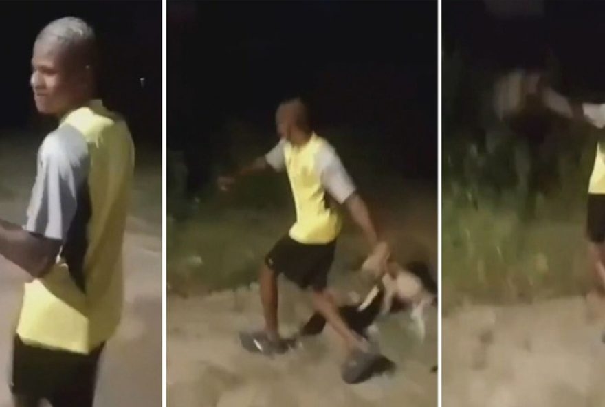 policia-civil-busca-responsavel-por-arremessar-filhote-de-cachorro-em-matagal