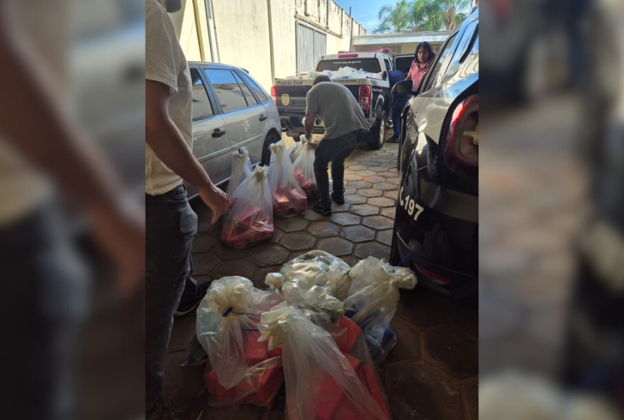 policia-civil-de-avare-incinera-mais-de-1-tonelada-de-drogas-em-operacao-de-combate-ao-trafico