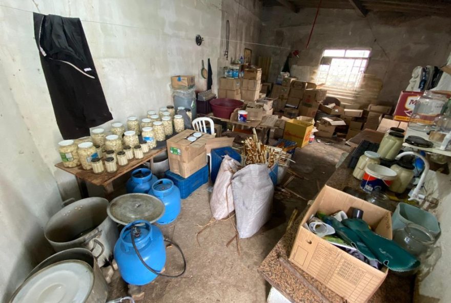 policia-civil-de-jacarei-desmantela-fabrica-clandestina-de-palmito3A-350-quilos-apreendidos-e-homem-detido-por-crime-ambiental policia-civil-de-jacarei-desmantela-fabrica-clandestina-de-palmito3A-350-quilos-apreendidos-e-homem-detido-por-crime-ambiental