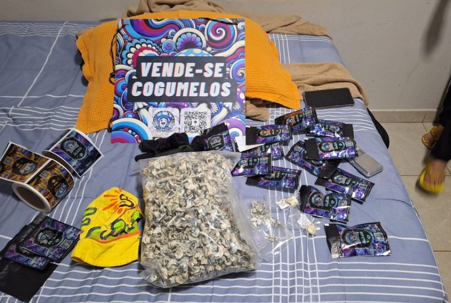 policia-civil-do-df-desmantela-rede-de-trafico-de-cogumelos-magicos-em-operacao-nacional