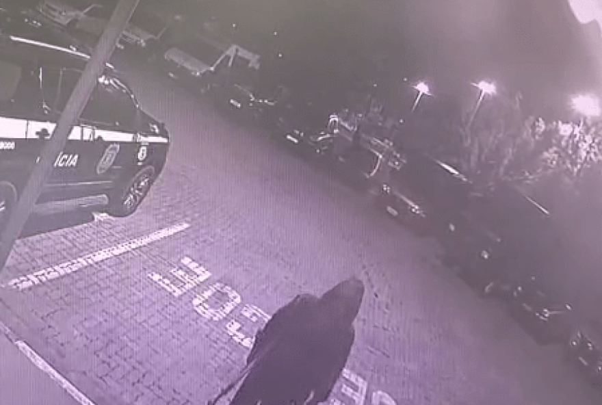 policia-civil-investiga-furto-de-viatura-em-delegacia-de-mogi-das-cruzes3A-autor-em-fuga policia-civil-investiga-furto-de-viatura-em-delegacia-de-mogi-das-cruzes3A-autor-em-fuga