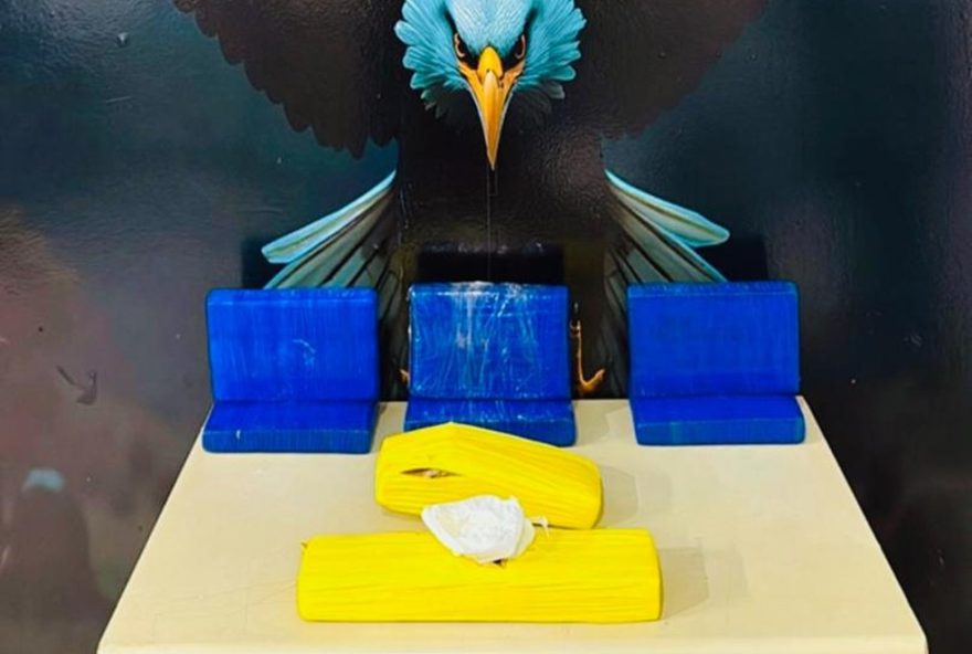 policia-civil-realiza-apreensao-de-drogas-em-petrolina3A-62C3kg-de-cocaina-e-2kg-de-maconha-foram-encontrados-em-residencia-no-cacheado2C-sertao-de-pernambuco