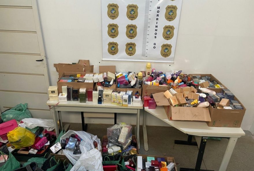 policia-civil-recupera-carga-de-cosmeticos-furtados-avaliada-em-r24-300-mil-em-go