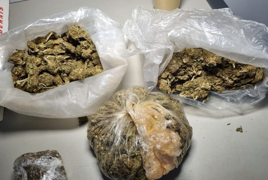 policia-de-passos2C-mg2C-apreende-maconha-potente-em-acao-contra-o-trafico