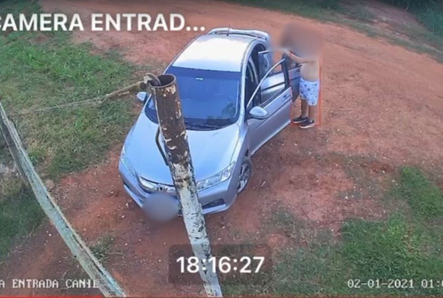 policia-investiga-morte-de-9-animais-em-canil-municipal-apos-resgate-de-filhotes-com-suspeita-de-parvovirose-em-guapiacu-sp policia-investiga-morte-de-9-animais-em-canil-municipal-apos-resgate-de-filhotes-com-suspeita-de-parvovirose-em-guapiacu-sp