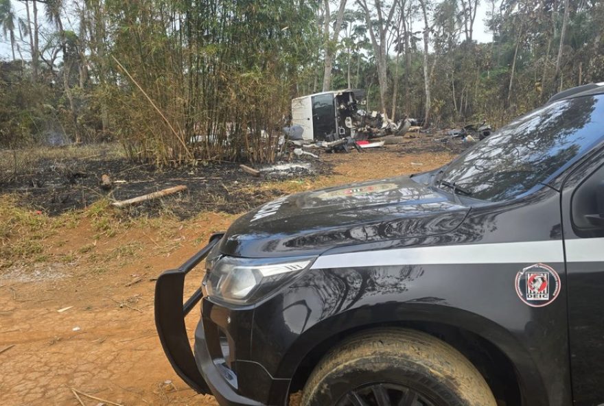 policia-localiza-suspeitos-de-roubarem-caes-com-drone-em-rodovia-de-sao-paulo3A-3-animais-recuperados