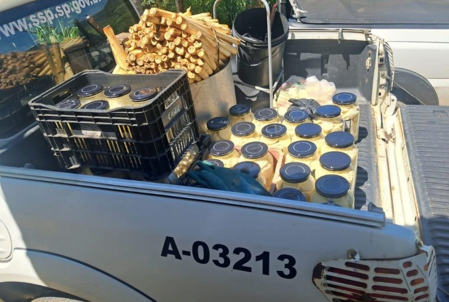 policia-militar-ambiental-apreende-mais-de-170-kg-de-palmito-em-fabrica-clandestina policia-militar-ambiental-apreende-mais-de-170-kg-de-palmito-em-fabrica-clandestina