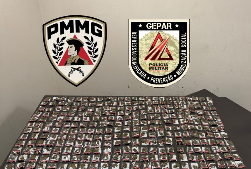 policia-militar-apreende-288-porcoes-de-skunk-em-poleiro-de-galinhas-em-montes-claros3A-operacao-reforca-combate-ao-trafico-de-drogas