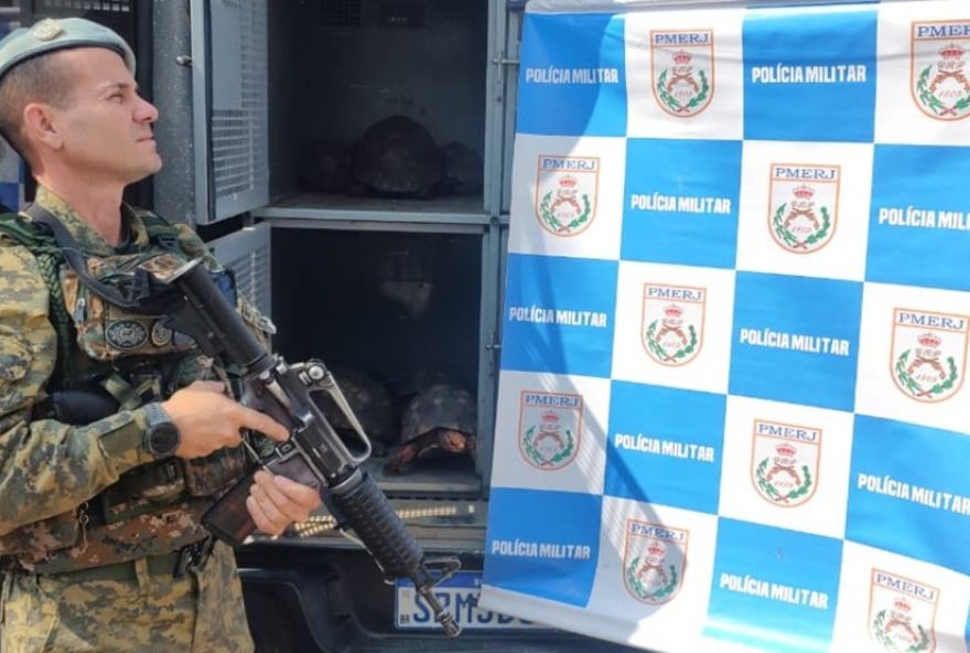 policia-resgata-sete-jabutis-em-acao-contra-maus-tratos-na-zona-norte-do-rio