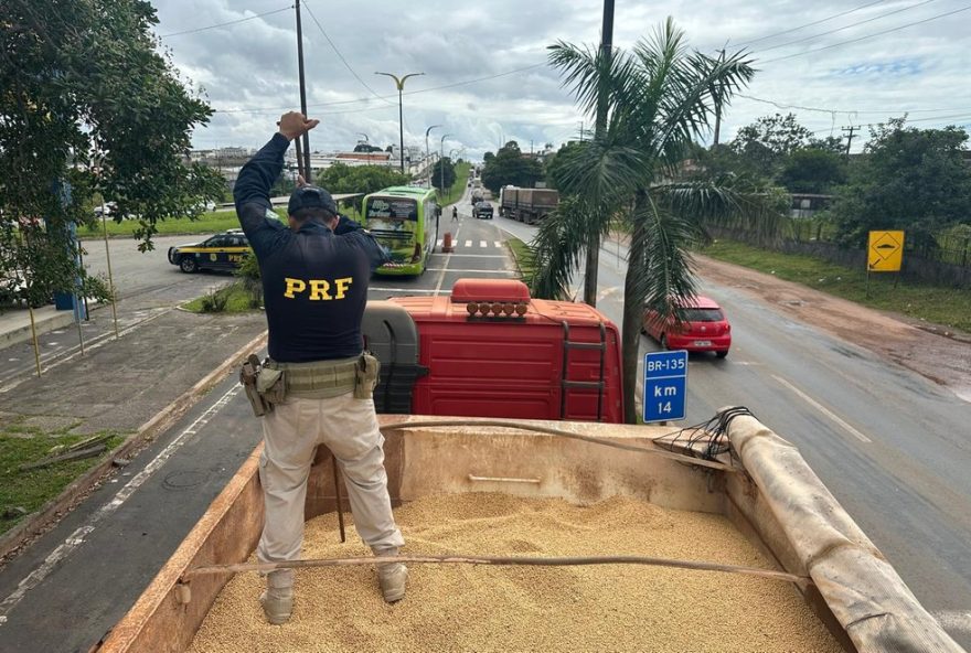 policia-rodoviaria-federal-apreende-29-tabletes-de-cocaina-em-carga-de-soja-na-br-1352C-em-sao-luis3A-veja-detalhes-da-operacao